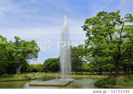 代々木公園の噴水 代々木公園の噴水 53722192