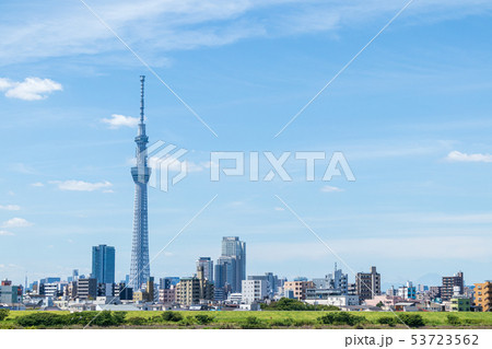 都市風景 荒川土手から東京スカイツリーを望む 都市風景 荒川土手から東京スカイツリーを望む 53723562
