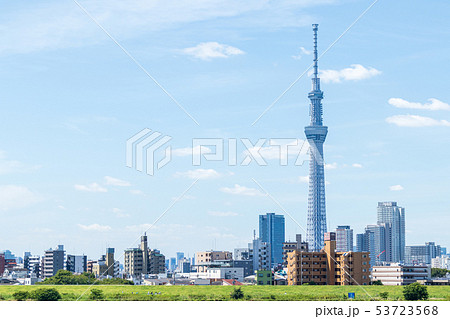 都市風景 荒川土手から東京スカイツリーを望む 都市風景 荒川土手から東京スカイツリーを望む 53723568
