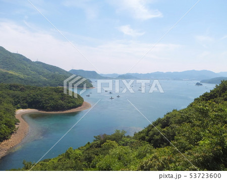 堀越海峡 53723600