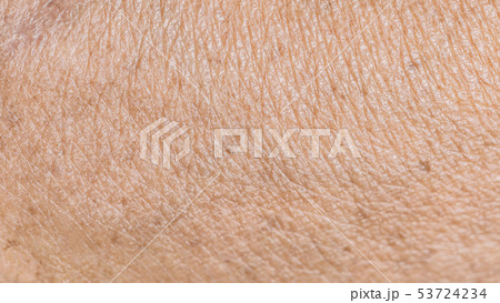 texture wrinkled of old human skin texture wrinkled of old human skin 53724234