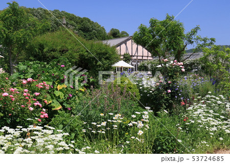 熊山英国庭園 5 熊山英国庭園 5 53724685