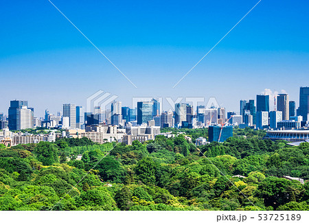 東京シティビュー 新宿御苑と新国立競技場、都心部の町並み 東京シティビュー 新宿御苑と新国立競技場、都心部の町並み 53725189