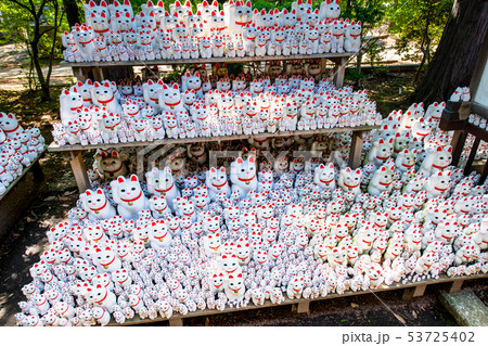 東京 豪徳寺 招き猫 53725402