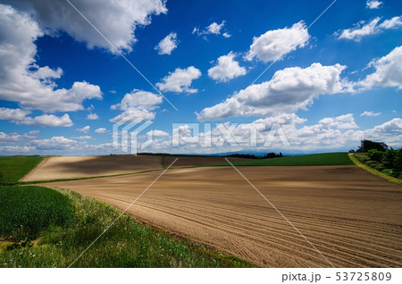 雄大で広大な北海道の大地(北海道 美瑛町) 53725809