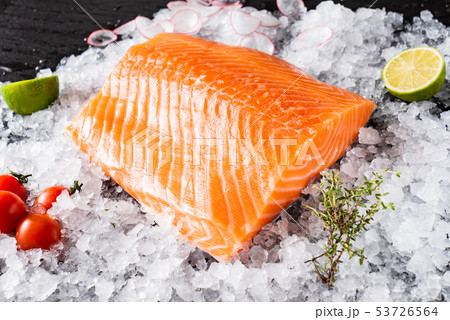 Raw salmon filet on the ice 53726564