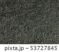 芝生 53727845