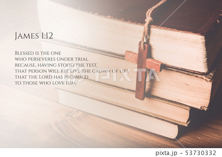 Vintage Bible Verse Background with the Bible 53730332