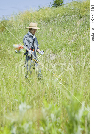 草刈り、除草イメージ 草刈りをする男性 草刈り、除草イメージ 草刈りをする男性 53731161