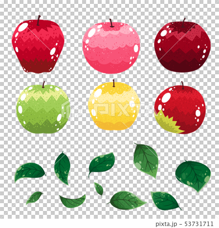 apple apple 53731711