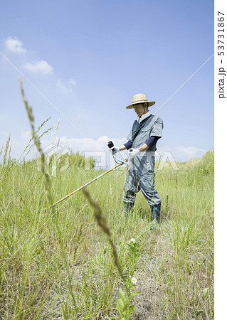 草刈り、除草イメージ　草刈りをする男性 53731867