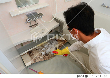 カビ対策　黒カビ　浴室　ハウスクリーニング　家事代行　カビ取り　梅雨　ジメジメ　カビ予防　リフォーム 53731938