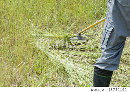 草刈り、除草イメージ　草刈り機を持つ男性 53732192