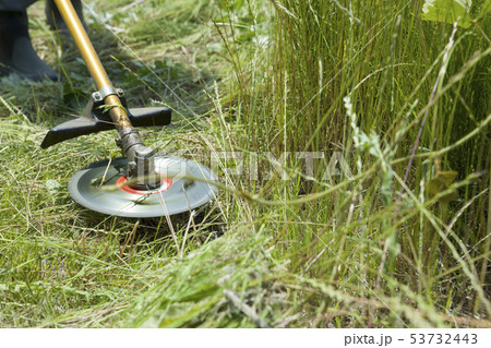 草刈り、除草イメージ　草刈り機を持つ男性 53732443