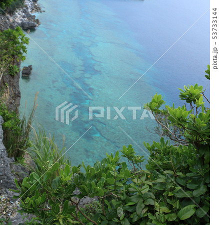 沖縄の綺麗な海 沖縄の綺麗な海 53733144