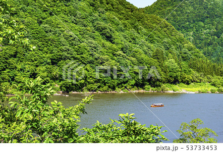新緑とそよ風そよぐ最上川と水上観光船 53733453