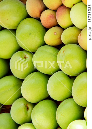 青梅の陰干し 53733588