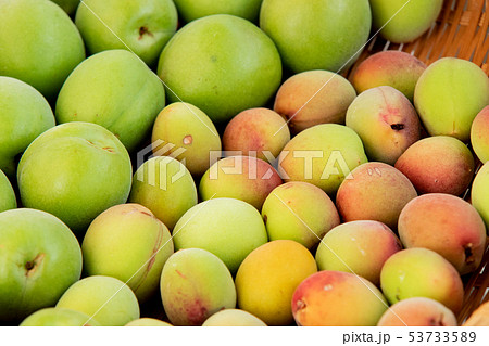 青梅の陰干し 53733589