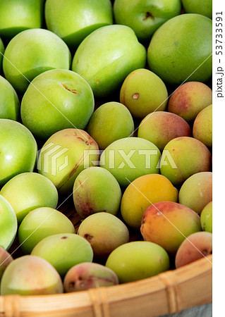 青梅の陰干し 53733591