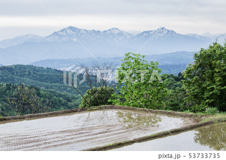 新潟県長岡市川口木沢　早苗田と残雪の越後三山 53733735