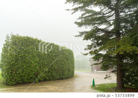 牧場の風景　雨 53733899