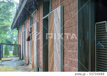 牧場の風景 雨 牧場の風景 雨 53734089