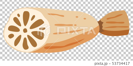 Lotus root Lotus root 53734417