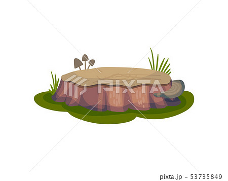 Low and wide stump. Vector illustration on white background. 53735849