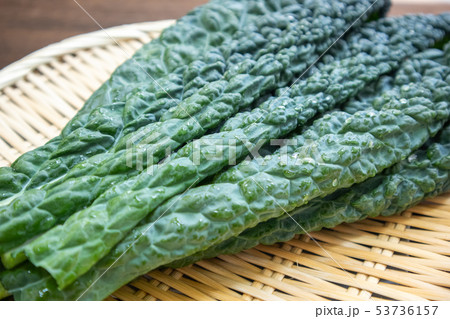 カーボロネロ 53736157