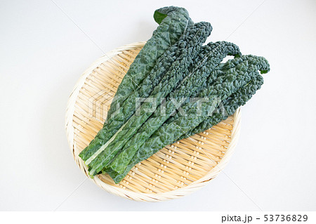 カーボロネロ 53736829