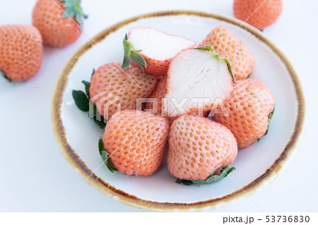 白イチゴ 白イチゴ 53736830