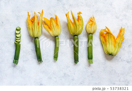 Young Zucchini With Flowers 53738321
