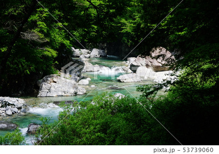 エメラルドグリーンの阿寺渓谷 エメラルドグリーンの阿寺渓谷 53739060