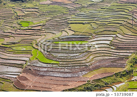 Rice terraced field 53739087