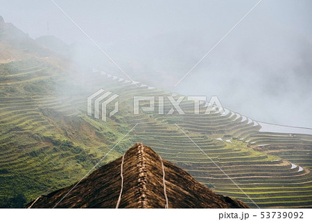 Rice terraced field 53739092