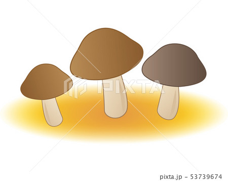 きのこのイラスト素材
