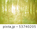 Fantasy wood from summer season 53740205