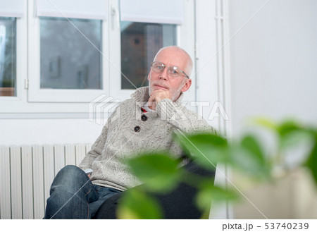 portrait of mature man with white hair at home 53740239