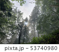 三峰神社の神聖な森 53740980
