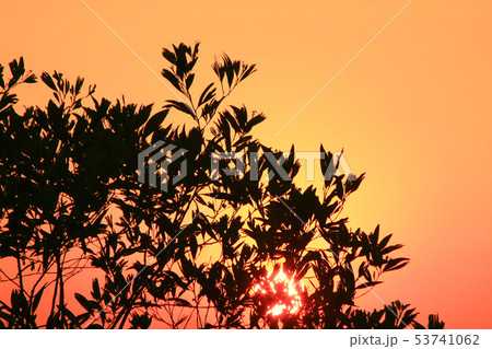 city scape of Middle kowloon at kowloon tong 53741062