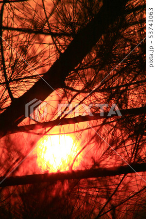 city scape of Middle kowloon at kowloon tong 53741063