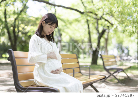 公園のベンチに座るに妊婦 53741597