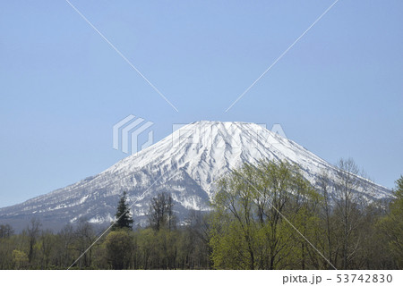 春の羊蹄山 春の羊蹄山 53742830