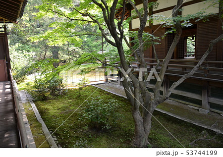 日本庭園 日本庭園 53744199