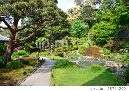 日本庭園 日本庭園 53744200