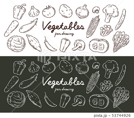 野菜ペン画のイラスト素材