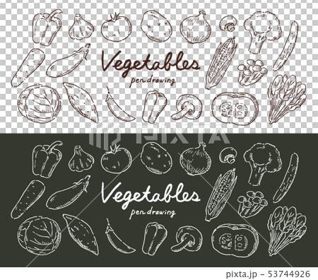 野菜ペン画 53744926