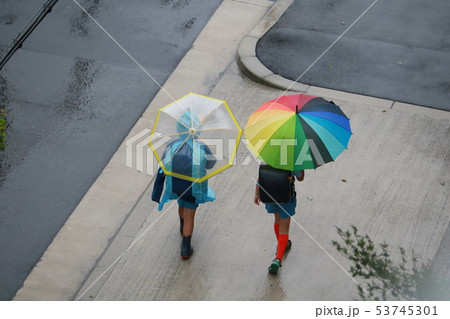 大雨の日に、通学する子供達。 53745301