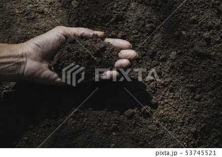 Hand of male holding soil in the hands for 53745521