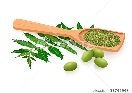 Neem branch, flowers, leaves, fruits and pods 53745948